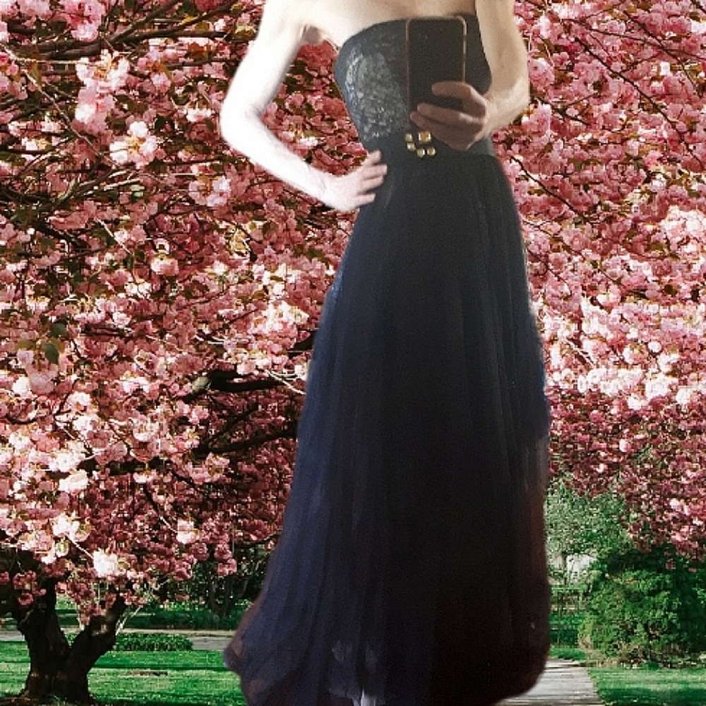 Vintage black lace and tulle dress